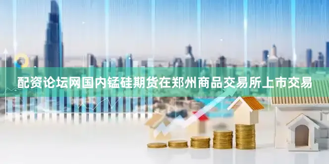 配资论坛网国内锰硅期货在郑州商品交易所上市交易